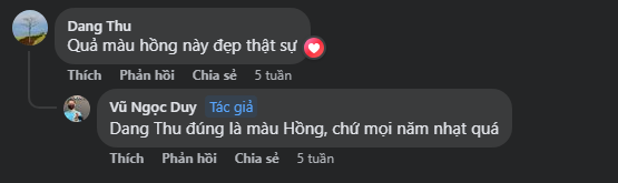 iPhone 15 Plus màu Hồng được đánh giá là đẹp hơn mọi năm